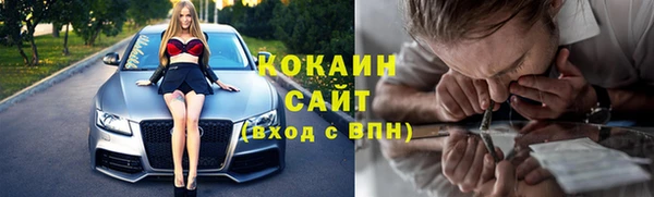 mdpv Вяземский