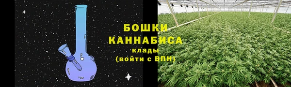 mdpv Вяземский