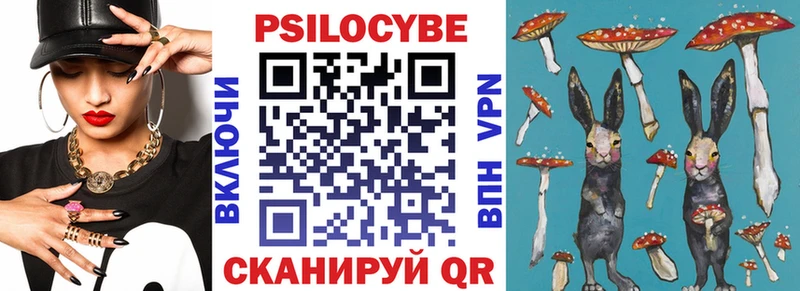 omg как зайти Жуковка Псилоцибиновые грибы Cubensis